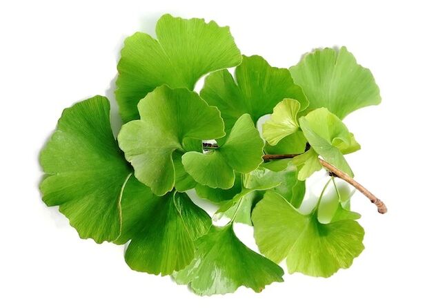 Gluconol contains ginkgo biloba